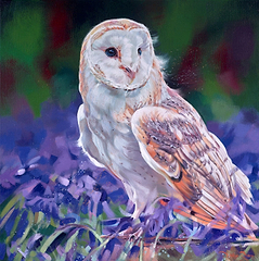 Bluebell Owl