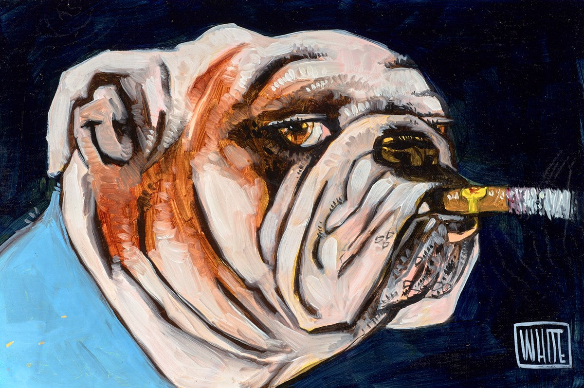 Bully Study