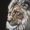 King of the Jungle IV