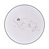 Tree Frog Study I