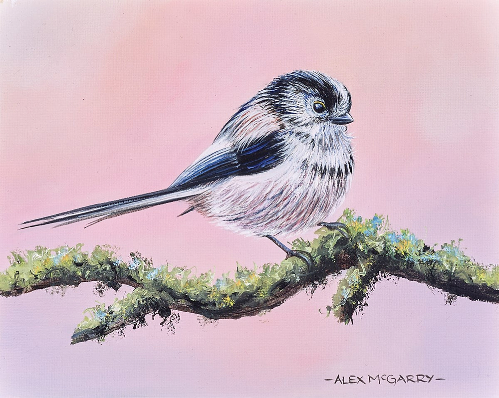 Long Tailed Tit