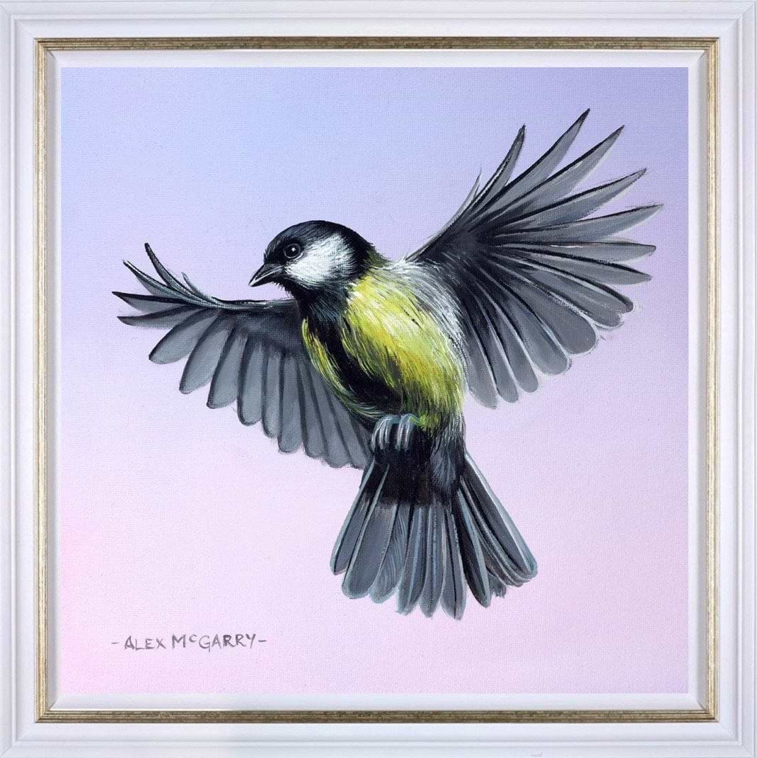 Great Tit Bird