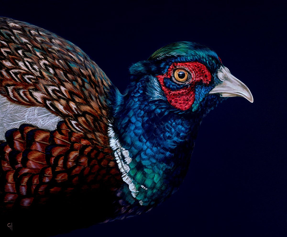 Pheasant