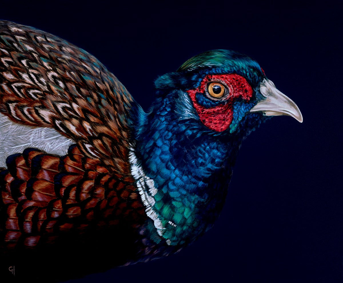 Pheasant