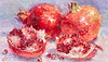 Pomegranates V