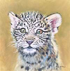 Leopard Cub