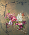 The Bloom's Beyond