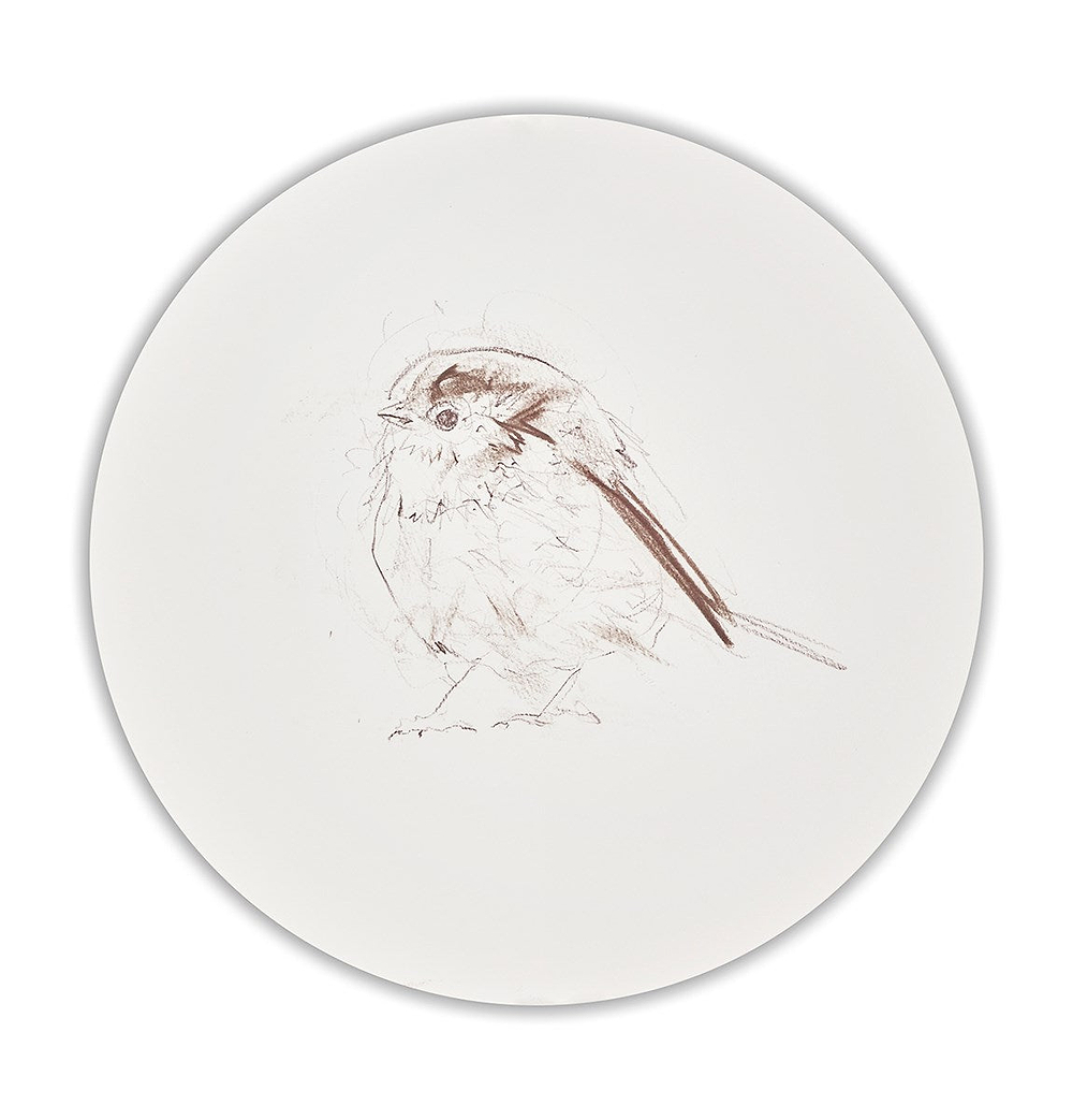 Long Tailed Tit Sketch V