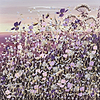 Forever Spring III