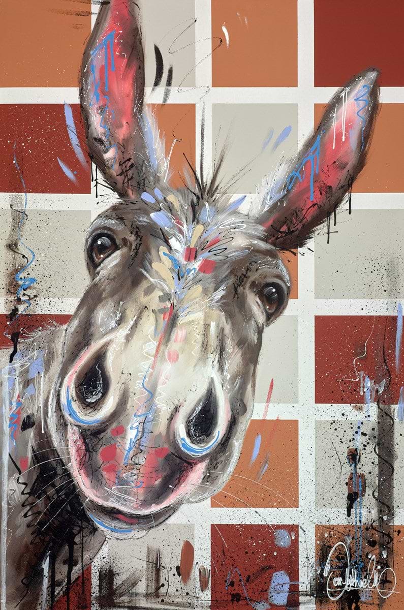 Nosey IV
