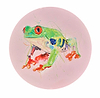 Tree Frog V