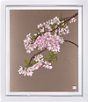 Blossom III (Framed)