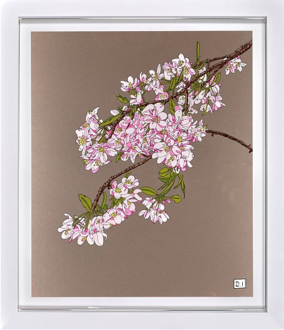 Blossom III (Framed)