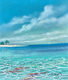 Paradise and Palm Trees