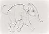 Elephant Study XXIV