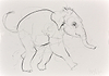 Elephant Study XXIV