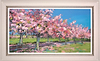 Sun on Cherry Trees (Framed)