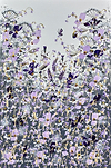 Delightful Florals II