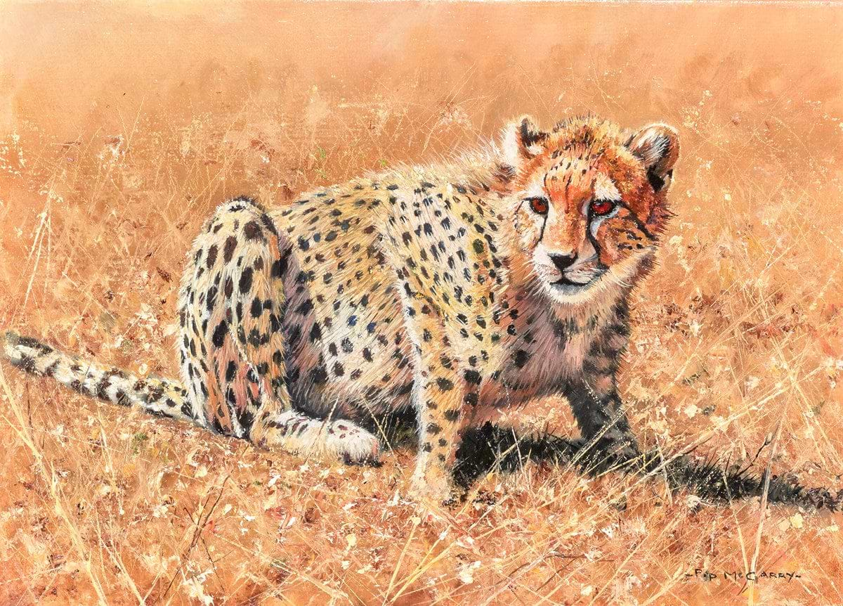 Cheetah Cub III