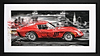 Life in the Fast Lane (Framed)