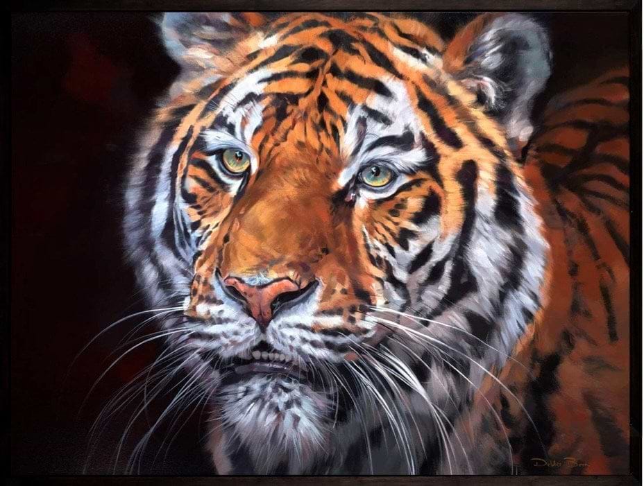 Sumatran Tiger- Rare Beauty