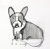 Garden Party Corgi Study II