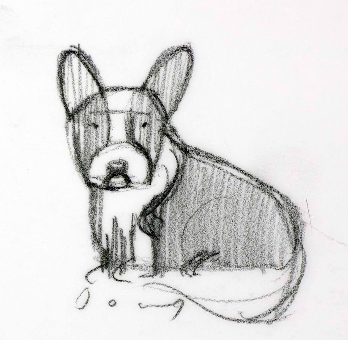 Garden Party Corgi Study II