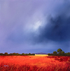 Distant Cottage