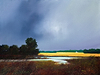 Receding Marshland