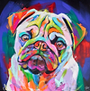 Cherished Pug