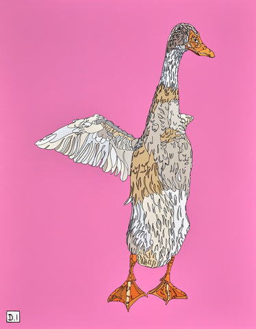Runner Duck On Pink