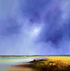 Sky and Shoreline