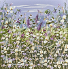 Tranquillity VI