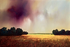 Golden Storm