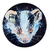 Badger Study I