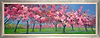 Blossom Time At the Meadows