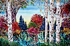 Serene Woodland