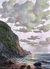 Untamed Coast
