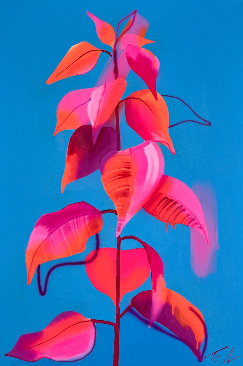 Naranja
