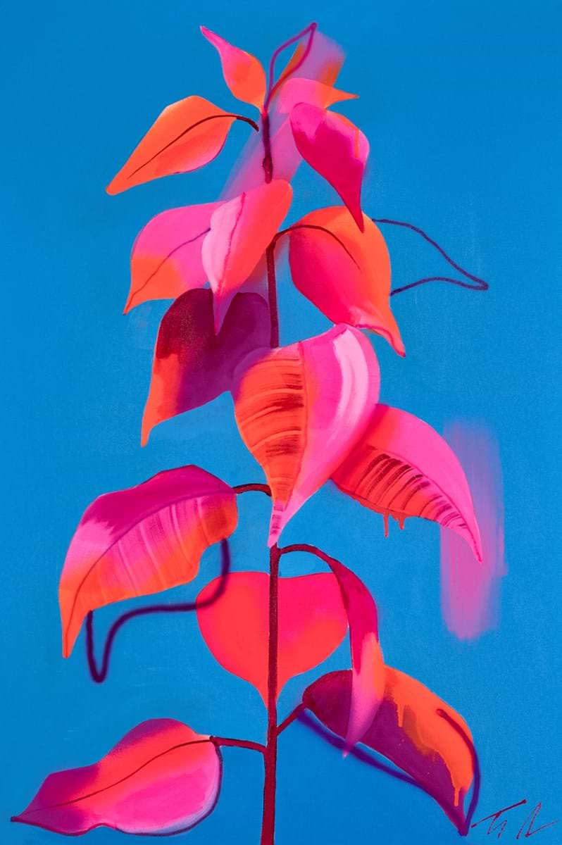 Naranja