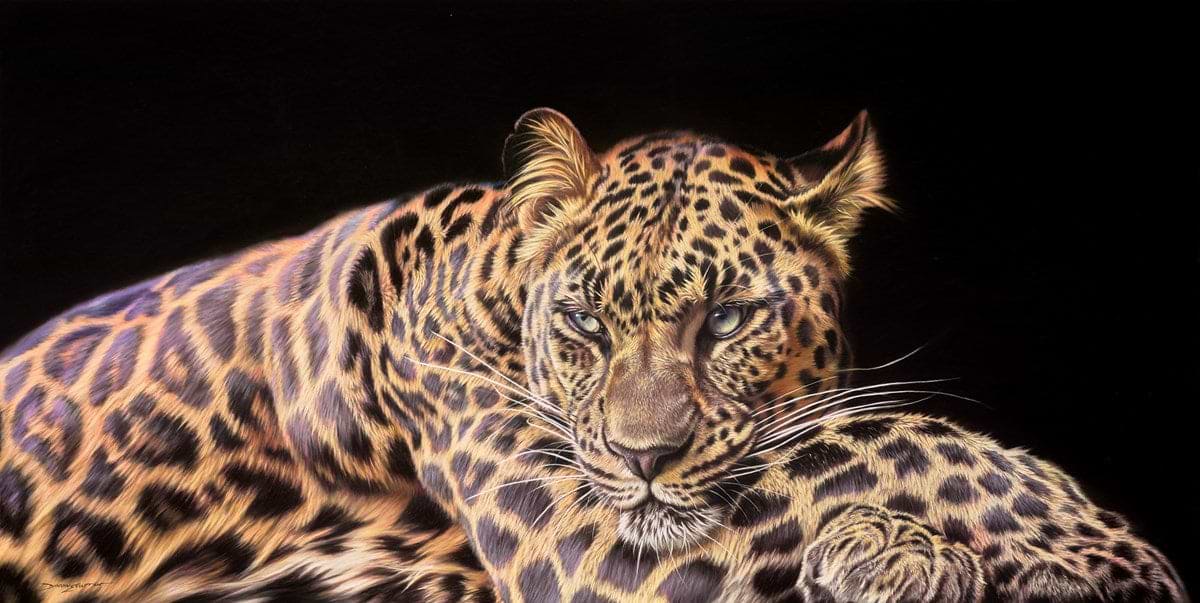 Relaxing Leopard