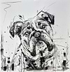 British Bulldog