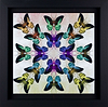 Collide (Framed)