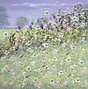 Wildflower Wonders II