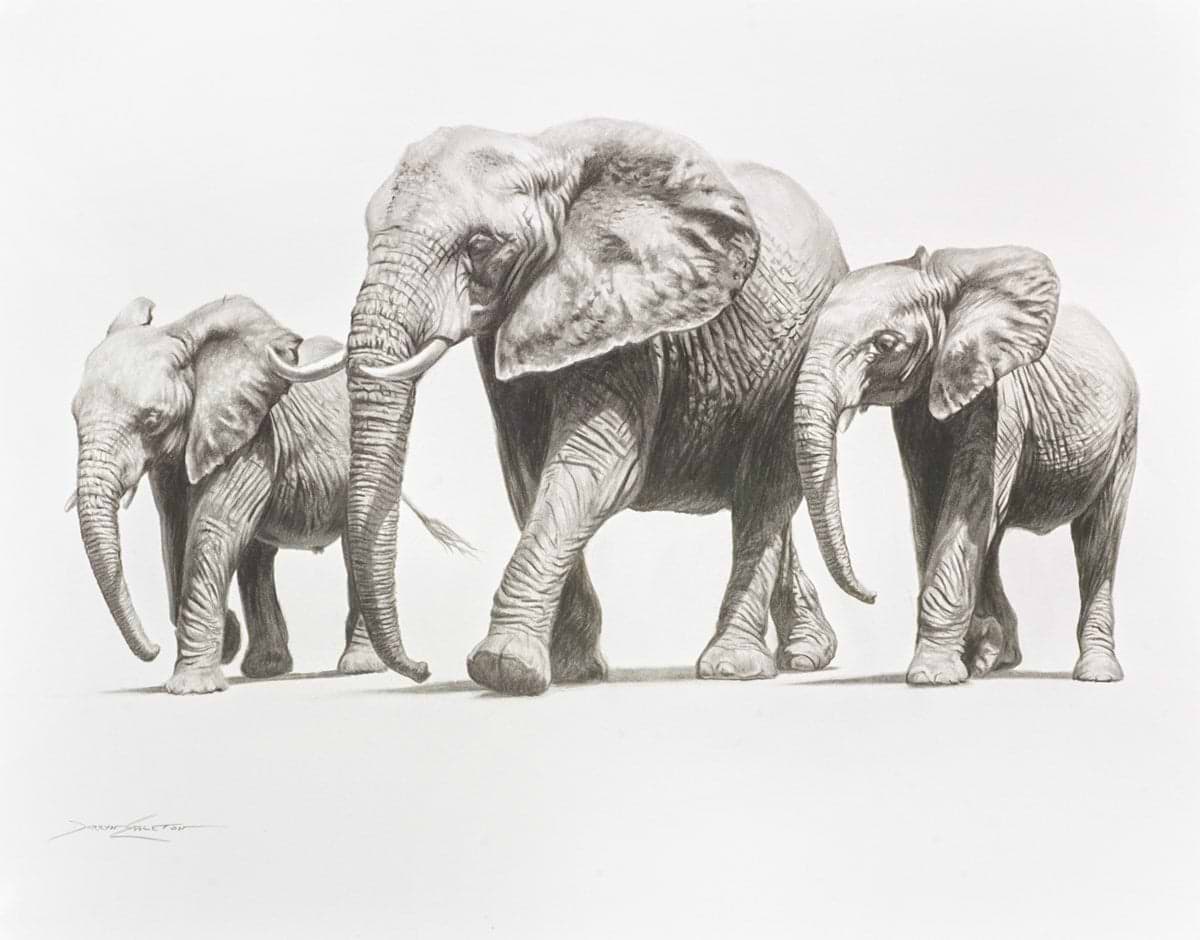 Walking Elephants