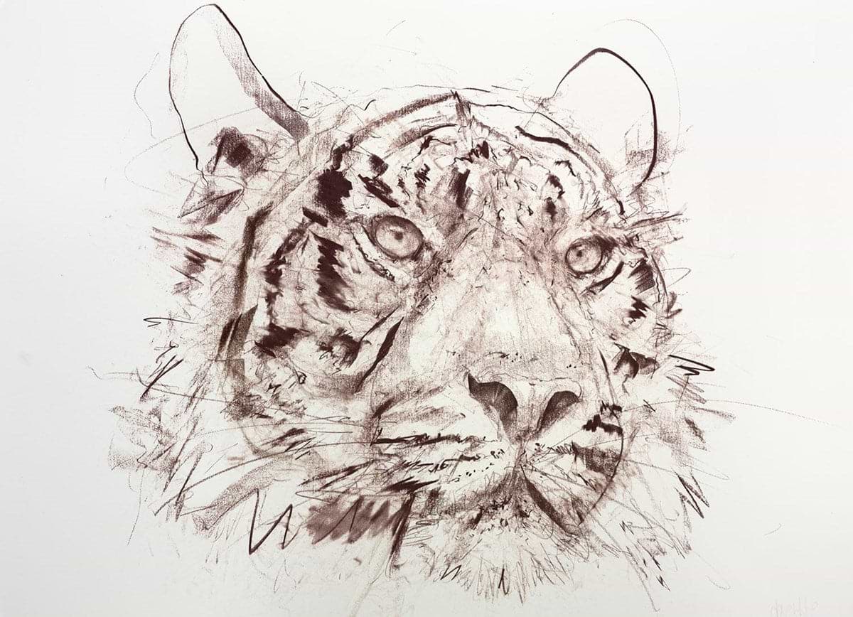 Tiger VII (Study)