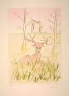 Le Cerf Malade