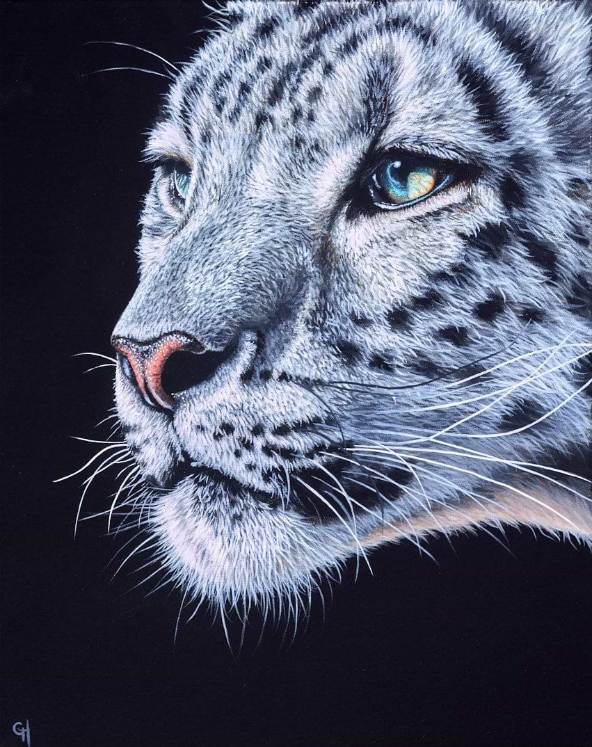 Snow Leopard V