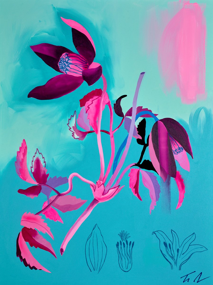 Clematis Alpina