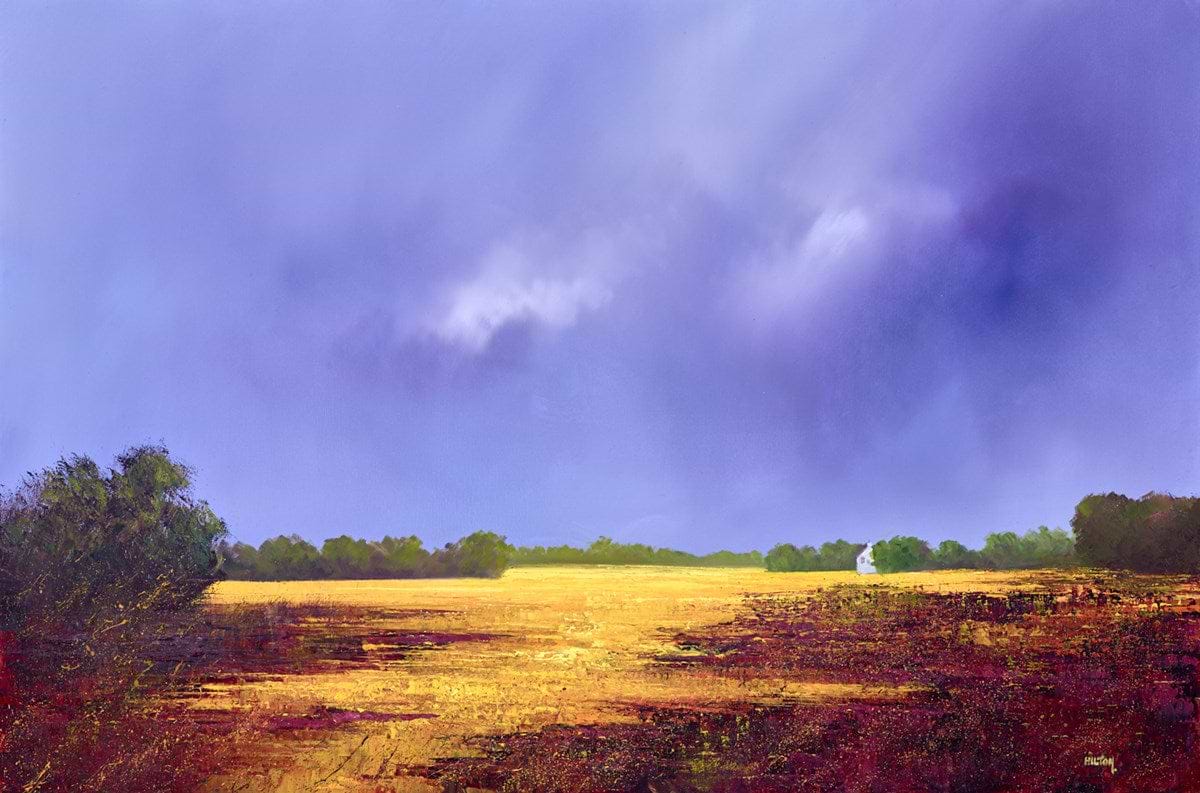 Corn Shadows